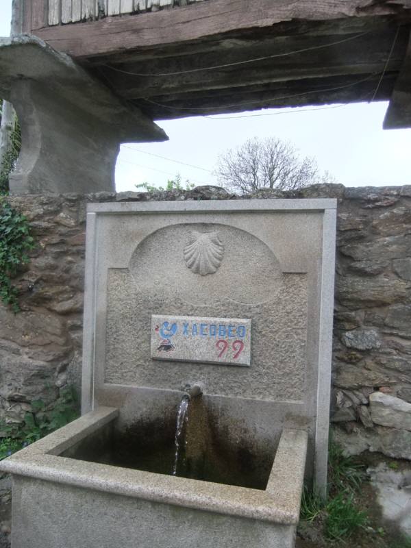 特別な年の巡礼