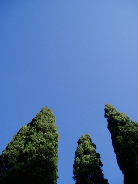 オペラ観劇の幕間に☆イタリアの不思議な巡り合い