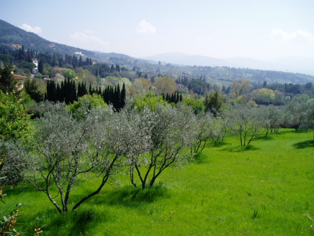 人・ひと・ヒト☆イタリアのトスカーナ在住「旅の専門家」×α