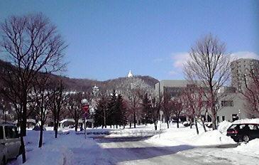 Hs5  春の節気 《啓蟄》 「温室の草花」