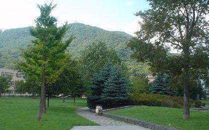 Bu13  「高尾山・自然観察会」その１