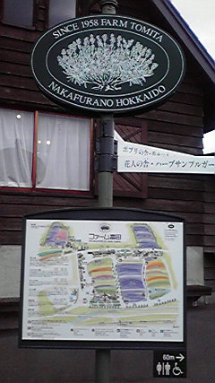 Hm39  初夏の北海道！道央の見どころ ◇ ファーム富田・ラベンダー畑