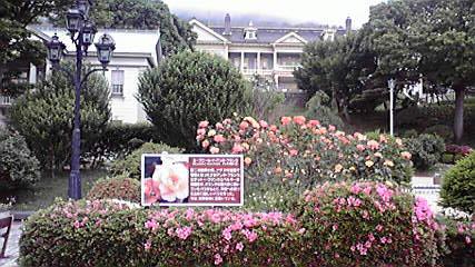 Hm64  初夏の北海道！道南の味処 ◇ 函館元町スイーツアヴェニュー