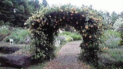 Hm78 初夏の北海道!道央の見どころ ◇ 風のガーデン