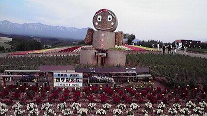 Hm79  初夏の北海道！道央の見どころ ◇ 四季彩の丘