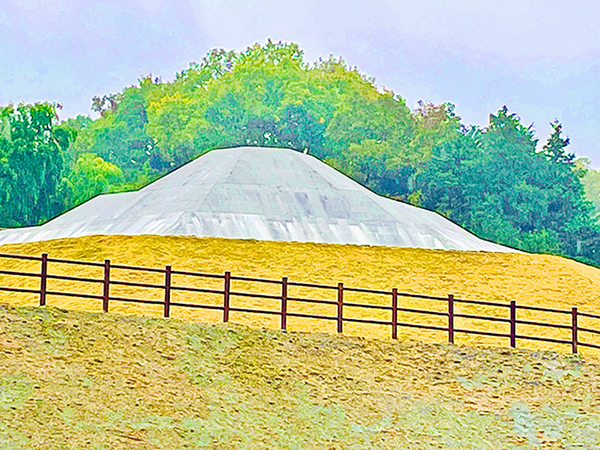 実は天皇陵？数少ない八角墳・牽牛子塚古墳