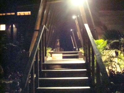 スローライフ～西表島で、人気(？)、一度は泊まってみてね！？　ティヌカーラ！