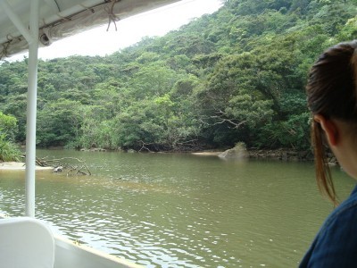 スローライフ～西表島・マリュドゥの滝&カンピレーの滝で、マングローブの森探検ツアー！！