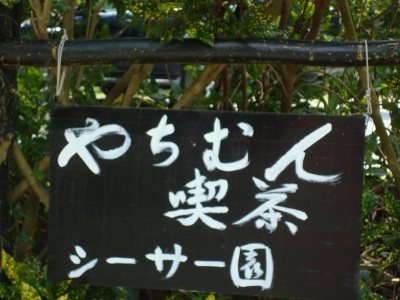 スローライフ～本島北部で、山に囲まれた大自然いっぱいな森カフェ、やちむん喫茶・シーサー園！！