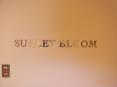 スローライフ　二人の思い出　My Wedding　In　アイネスヴィラノッチェ沖縄～！？　No.2