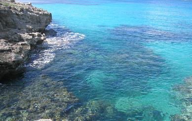 テニアンＰＡＲＴ４　