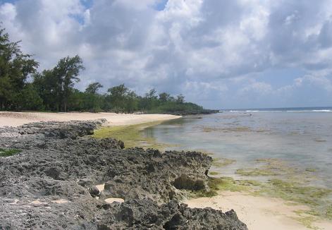 テニアン　ＰＡＲＴ１０　　