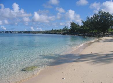 テニアンから帰国しました～