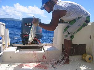 トローリング（IN　テニアン）　