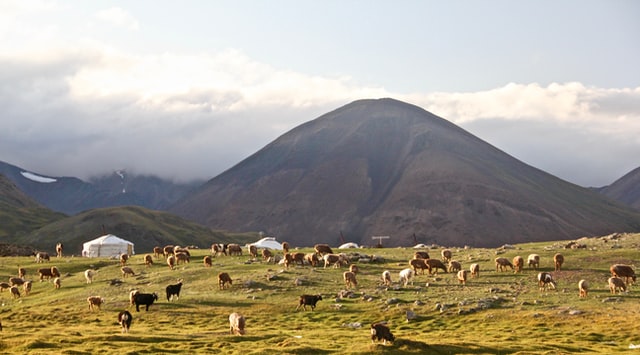 モンゴル、ほぼ全ての水際対策を撤廃