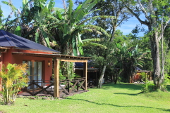 Hotel La Mision Lodge de la Selva