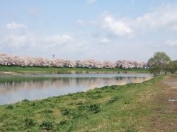 N・S 様／東北2日間