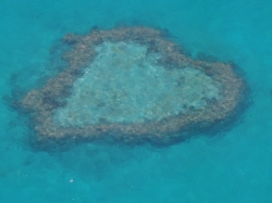 Y.I 様／ゴールドコースト・ハミルトン島7日間