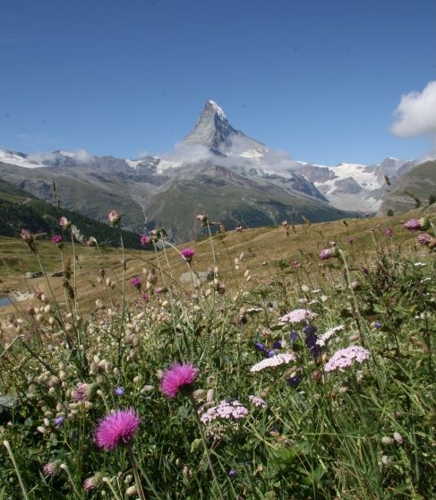 Ｍ 様／2006夏・スイス旅行