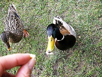 湖のほとりにて