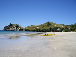 Ｙ様／ニュージーランド北島６日間