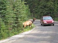 Ｙ・Ｍ、Ｙ・Ｍご夫妻様／リタイヤ記念・アメリカ＆カナダ２１日間