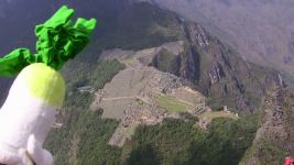 あおくび大根とマチュピチュ