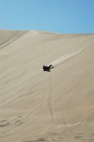 イカの砂漠で・・・