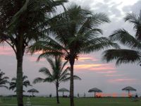 お気に入りゴア