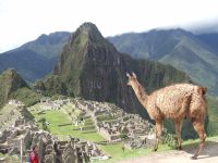 マチュピチュにて