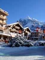 Ｔ．Ｓ様＆Ｍ．Ｓ様／スキーも出来て、観光も出来る、スイスツアー８日間