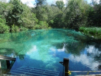 F 様 / スプリングツアー フロリダ５日間の旅