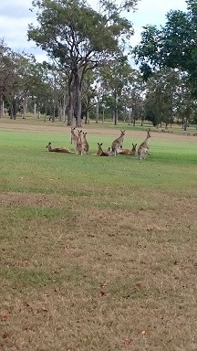 T様ファミリー／【シドニー、ケアンズ周遊ツアー】８日間