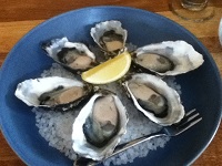 Y様/【タスマニアとエアーズロック満喫の旅】 11日間