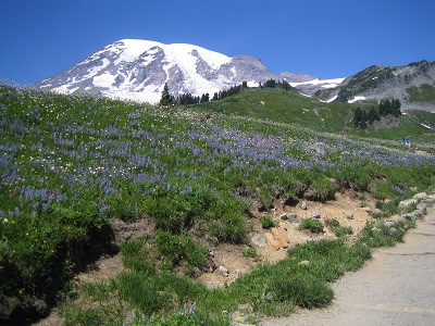M様ご夫妻／最後のチャンスか？イチロー観戦　シアトル６日間