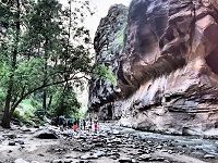 ＳＹ様／Traveling　alone The National Park in USA