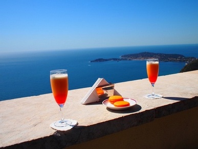 T様ご夫妻/南仏満喫　9日間