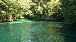 シュノーケリングポイント