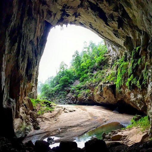 M様 / ベトナム９日間（ソンドン洞窟）