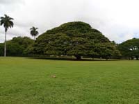 N様ご夫妻/ハワイで二人の出発をゆったりと祝う旅☆