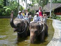 Ｓ様／春休み・旅☆バリ島６日間