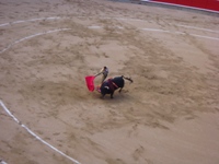 モヌメンタル闘牛場