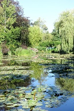 O様同期3名様／パリと南仏プロヴァンスからコートダジュールへ10日間