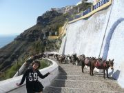 サントリーニのロバタクシー