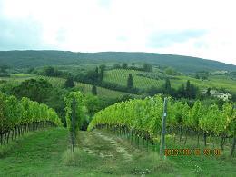 サンジミニャーノ