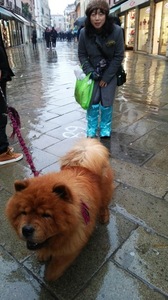 Ｎ様ご夫妻＆Ｈ様　フィレンツェ、カルピ、ベネチア　８日間