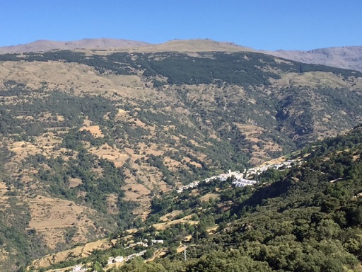 Ｈ様／スペイン９日間