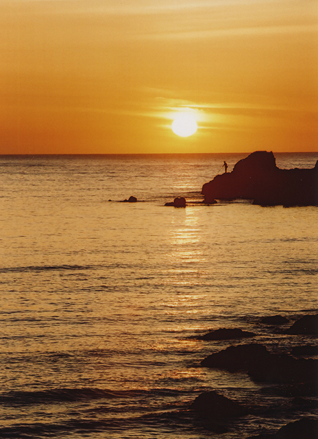 幻のカニと夕日と温泉で贅沢に