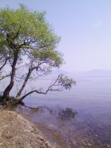 水と緑の町へ～滋賀県高島市～