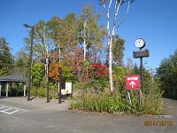 Bu36  滝野の秋 ☆ カラマツ林散策と紅葉を楽しむ